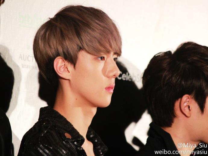 exo update