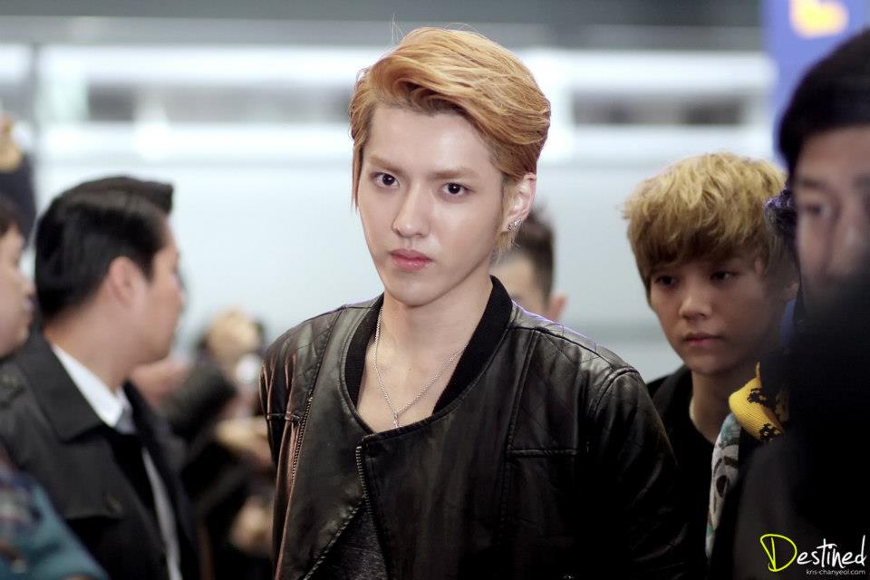 exo update