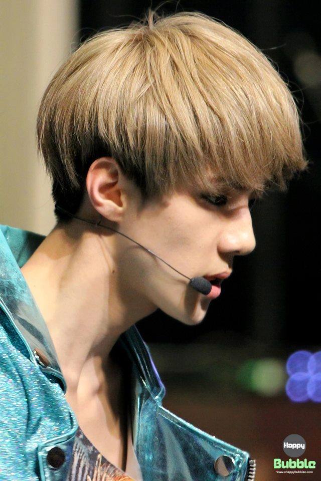 exo update