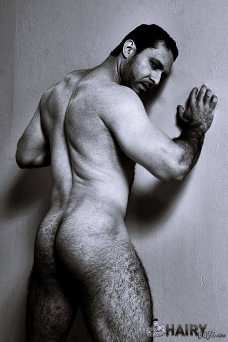 B&W Collection