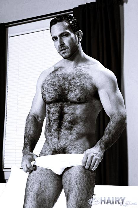 B&W Collection