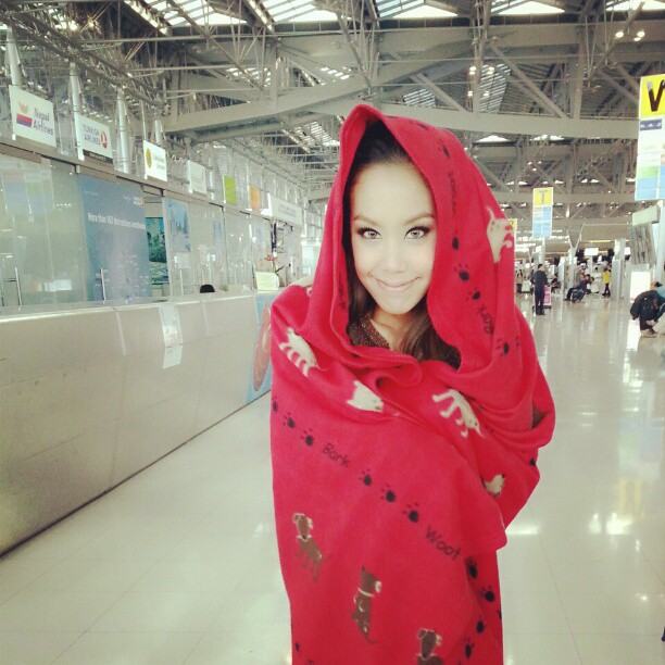 แอริณ นางร้ายคนสวย