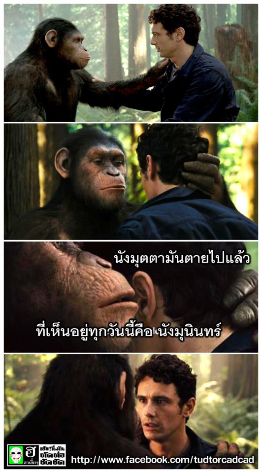 กระแสแรงเงา.....ยังเกาไม่หายคันอิอิ
