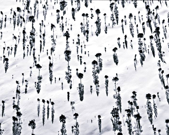 สุดยอดรูปถ่าย International Photography Award 2012