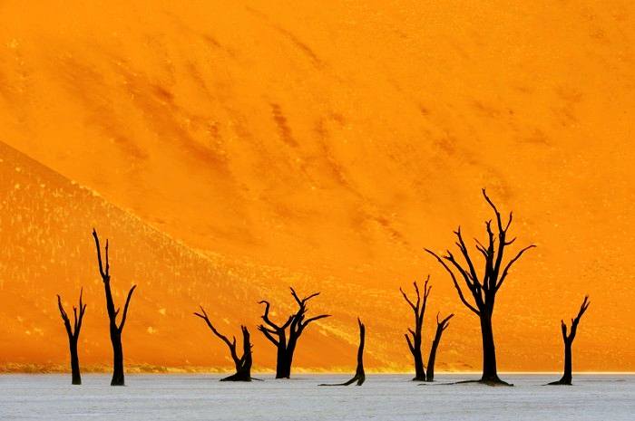 สุดยอดรูปถ่าย International Photography Award 2012