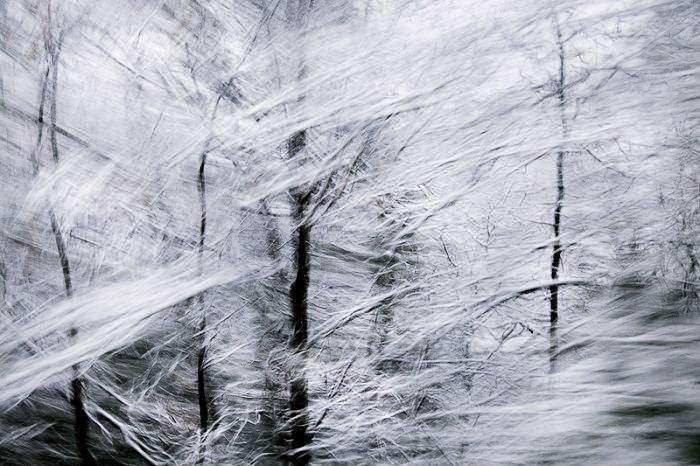 สุดยอดรูปถ่าย International Photography Award 2012
