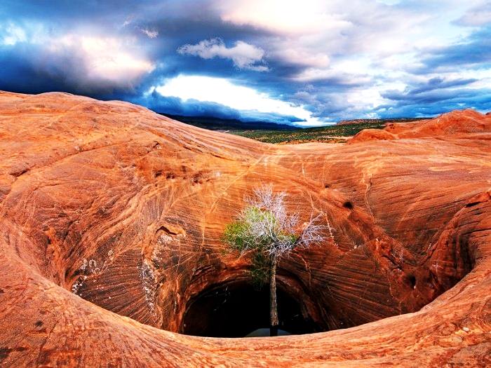 สุดยอดรูปถ่าย International Photography Award 2012