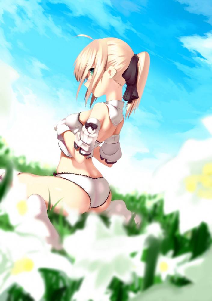 (FATE) Saber by may