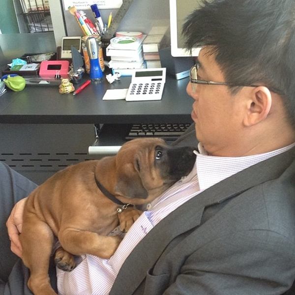 น่ารักอ่ะ! สรยุทธ พาน้องหมาสุดเลิฟร่วมจัดรายการ