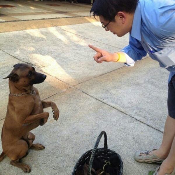 น่ารักอ่ะ! สรยุทธ พาน้องหมาสุดเลิฟร่วมจัดรายการ