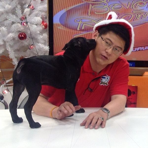 น่ารักอ่ะ! สรยุทธ พาน้องหมาสุดเลิฟร่วมจัดรายการ