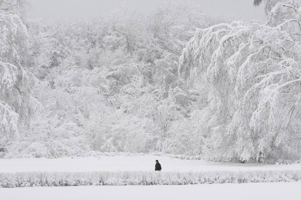 ภาพจากทั่วทุกมุมโลกในปี2012