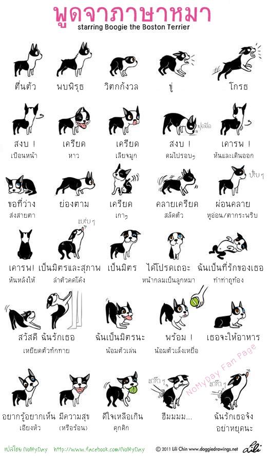 จริงป่าวน๊า