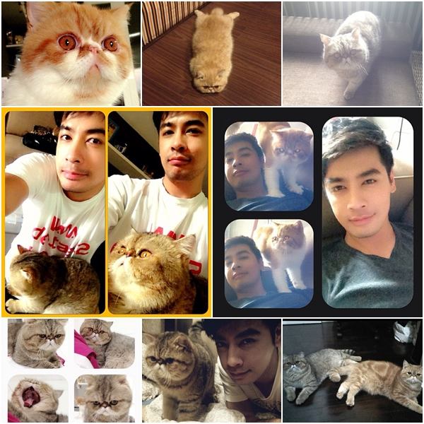วันสบาย ๆ ของ ออย ธนา กับแก๊งแมวเหมียว