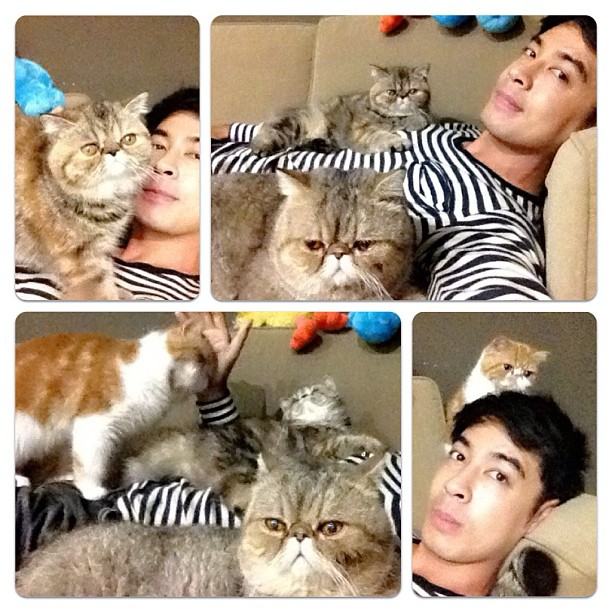 วันสบาย ๆ ของ ออย ธนา กับแก๊งแมวเหมียว