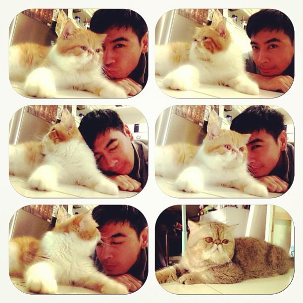 วันสบาย ๆ ของ ออย ธนา กับแก๊งแมวเหมียว