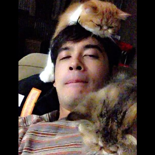 วันสบาย ๆ ของ ออย ธนา กับแก๊งแมวเหมียว