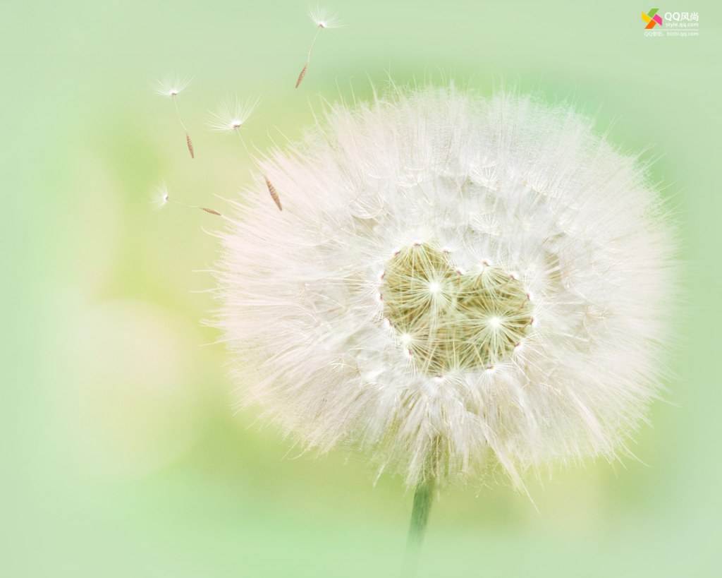 ภาพสวยหลายสไตล์