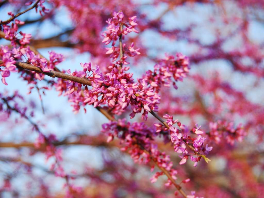 ภาพสวยหลายสไตล์