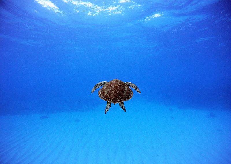 ภาพสวย ภาพงามๆ หาชมยากจัง