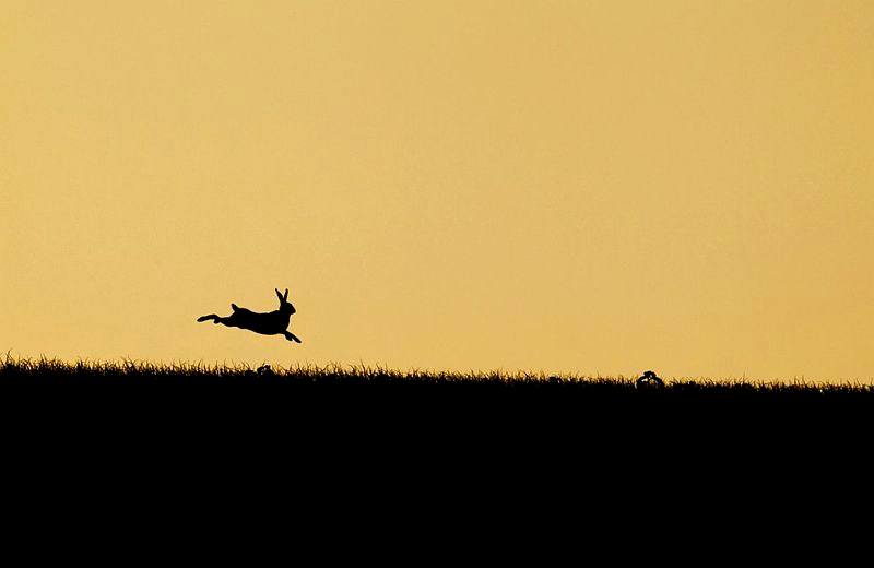 ภาพสวย ภาพงามๆ หาชมยากจัง