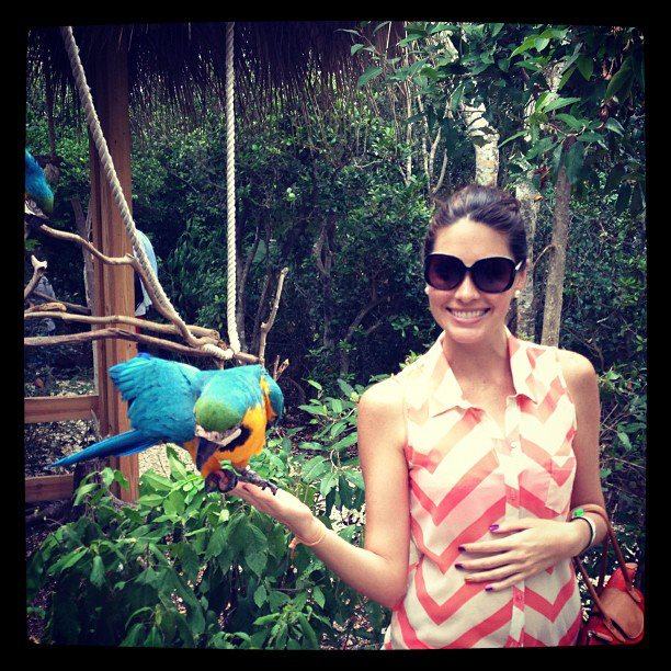ประเมินศักยภาพ Miss Venezuela Universe 2013 อย่างไรกันบ้าง