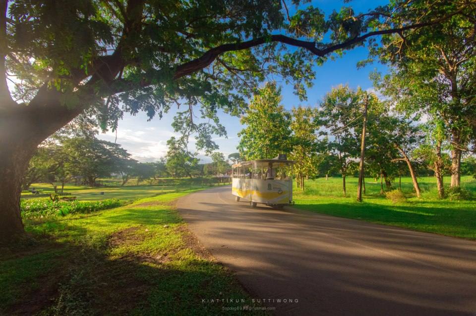 มหาวิทยาลัยที่เป็นมิตรกับสิ่งแวดล้อมมากที่สุดของโลก อันดับที่ 71ของโลก อันดับ 5 ของไทย ม.มหาสารคาม
