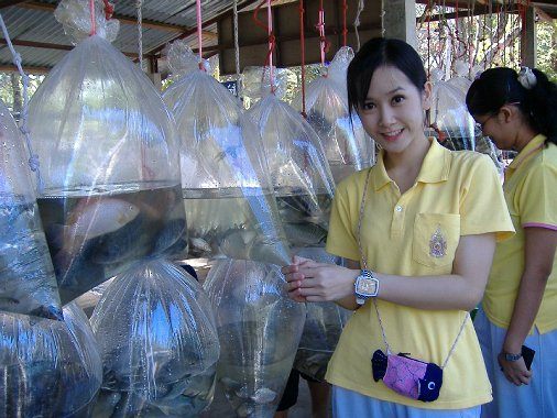 ร.ท. หญิงชโลธร ชัยชมภู