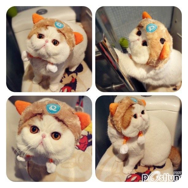 น้องเหมียว SNOOPY