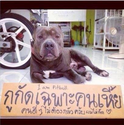 ฮาเว่อร์ฮาเวิง