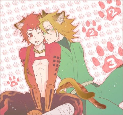 สาวกการ์ตูนวาย ๑๓