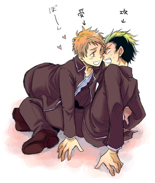สาวกการ์ตูนวาย ๒๐