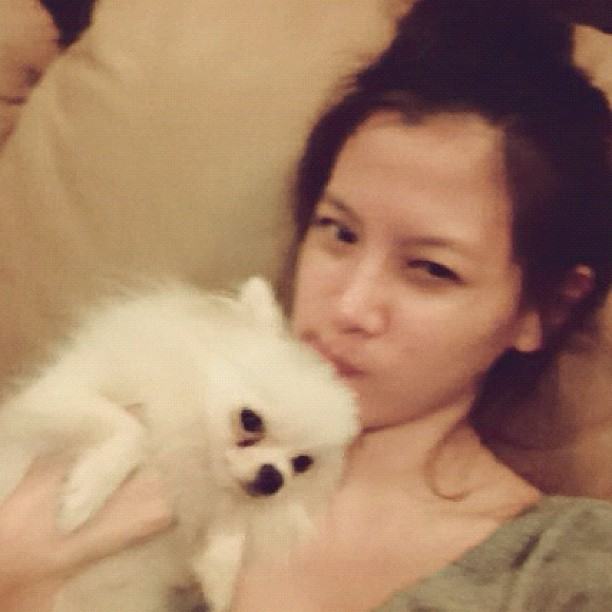 ใบเฟิร์น