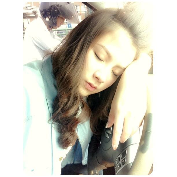ใบเฟิร์น