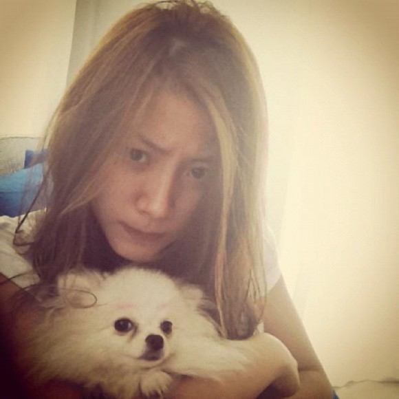 ใบเฟิร์น