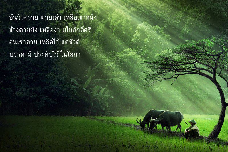 ธรรมะสอนใจ ใจสอนตัวเรา