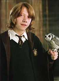 สำหรับคนรัก Rupert grint