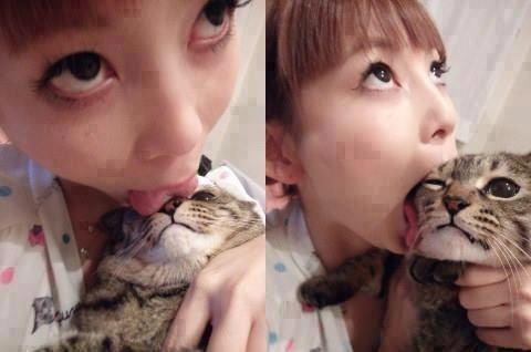 เขาทำอะไรกะแมว น่ากลัวจุงเบย