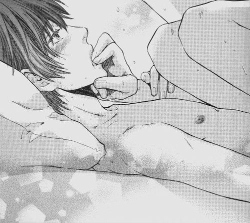 สาวกการ์ตูนวาย ๒๕