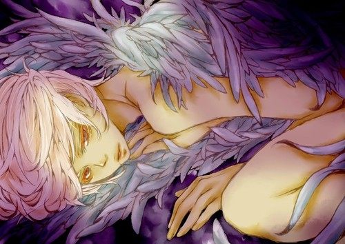 สาวกการ์ตูนวาย ๒๕