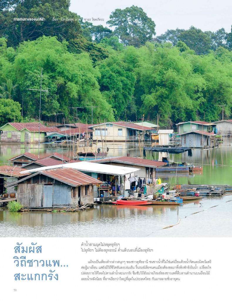 การเดินทางของนกสีฟ้า