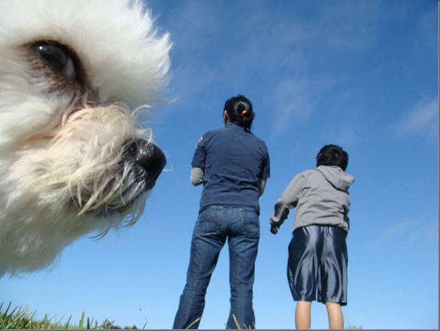 แย่งซีนกรูจัง..