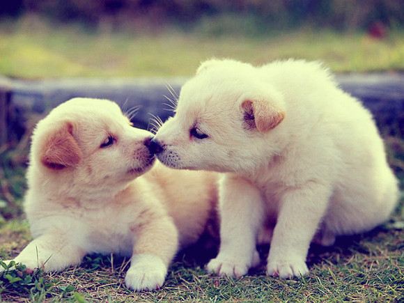รูปภาพ สวยๆ น่ารักๆ อาร์ตๆ เยอะค่ะ!!!