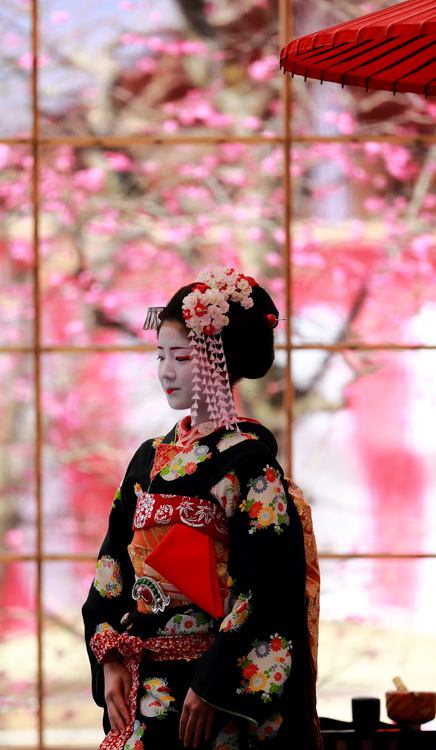 ชุด kimono...