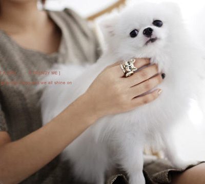 แฟชั่น แหวน ดีไซน์สวย ๆ สำหรับสาวอินเทรนด์