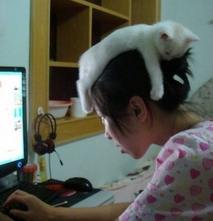 เฮ้ย....ไอ้เหมียว5