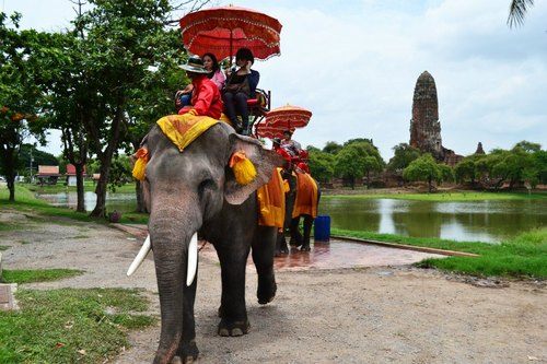 Ayutthaya...