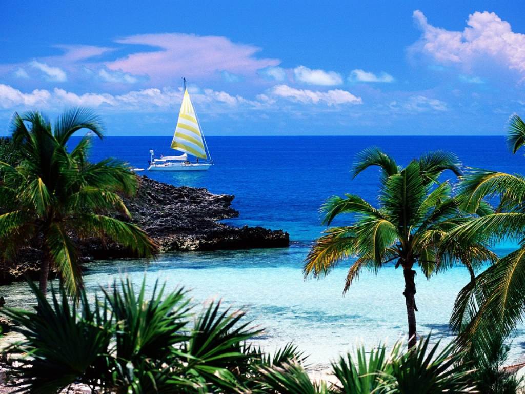 THE BEACH.