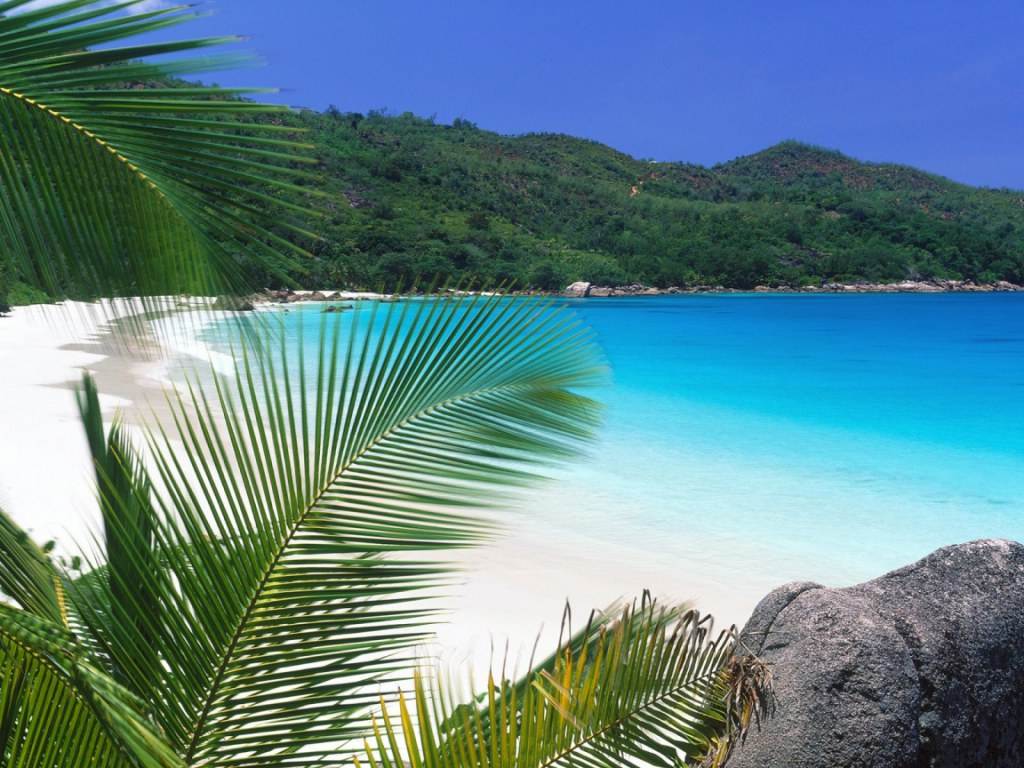 THE BEACH.