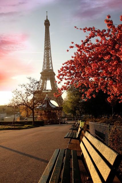 ฝรั่งเศส: France...